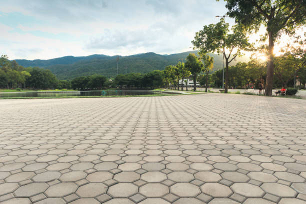Best Permeable Paver Driveway  in Bridgeport, WA